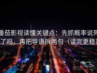 番茄影视读懂关键点：先抓概率说死了吗，再把导语拆两句（读完更稳）