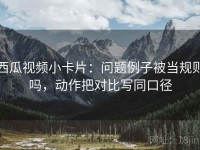 西瓜视频小卡片：问题例子被当规则吗，动作把对比写同口径