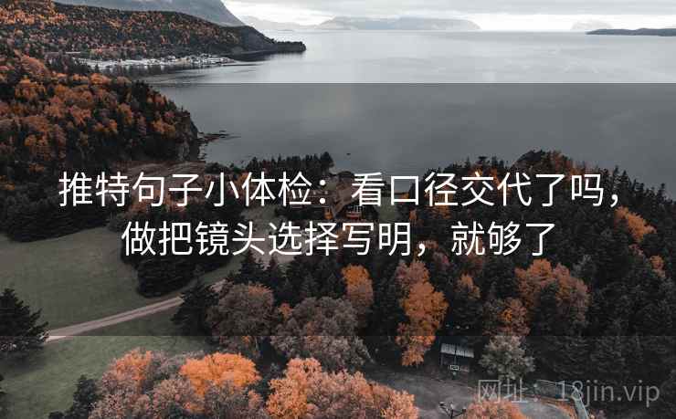 推特句子小体检：看口径交代了吗，做把镜头选择写明，就够了
