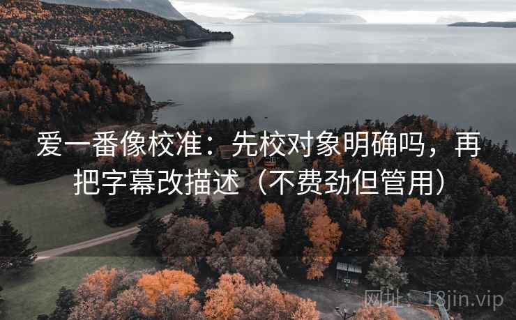 爱一番像校准：先校对象明确吗，再把字幕改描述（不费劲但管用）
